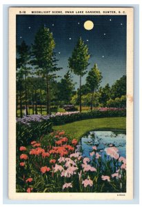 Vintage Moonlight Scene Swan Lake Gardens Sumter, S.C. Postcard F110E