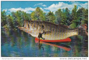 Fishing Giant Fish On Top Of Canoe