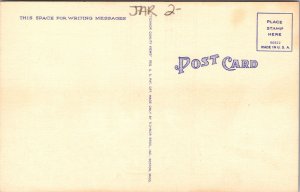 Bayfront Park Bandshell Miami Florida Nighttime View Linen Postcard 