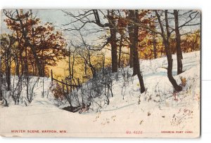 Barron Wisconsin WI Postcard 1909 Winter Nature Scene
