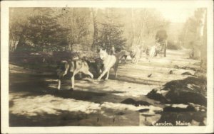 Camden ME Team of Husky Sled Dogs c1920s-30s Real Photo Postcard