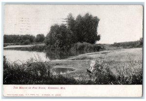 1909 Mouth Pike River Lake Trees Grass Field Kenosha Wisconsin Vintage Postcard 