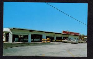 FL Orange Blossom Groves CLEARWATER FLORIDA Postcard PC