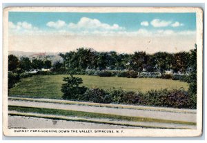 c1920's Burnet Park Looking Down The Valley Syracuse New York NY Postcard