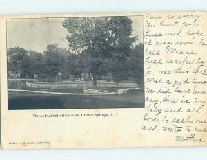 Pre-1907 PARK SCENE Adirondacks - Clifton Springs New York NY H4079