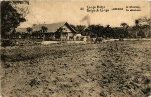 PC CPA BELGIAN CONGO, LUSAMBO, LE LABOURAGE, VINTAGE POSTCARD (b12612)