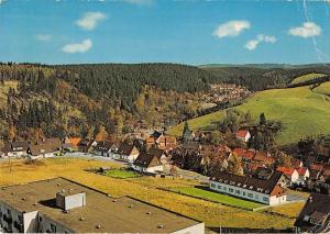 BT12139 altenau Oberharz glockenberg blick ins segultal         Germany