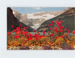 Postcard Lake Louise and Victoria Glacier, Banff National Park, Canada