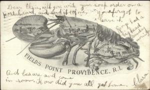 Field's Point Providence RI Lobster Border c1905 Postcard