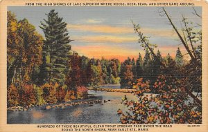 High Shores of Lake Superior Where Moose  Deer  Bear Abound - Sault Ste. Mari...