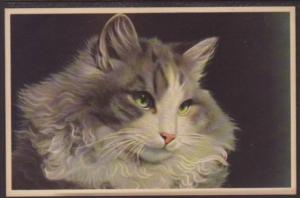 Cat,Mainzier Postcard 