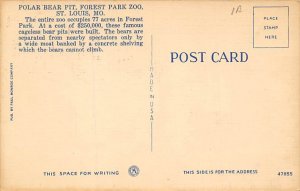 Poalr Bear Pit, Forest Park Zoo St Louis, Missouri, USA Bear Postcard