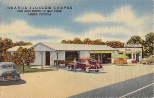 Largo Florida Orange Blossom Groves Street View Antique Postcard K26570