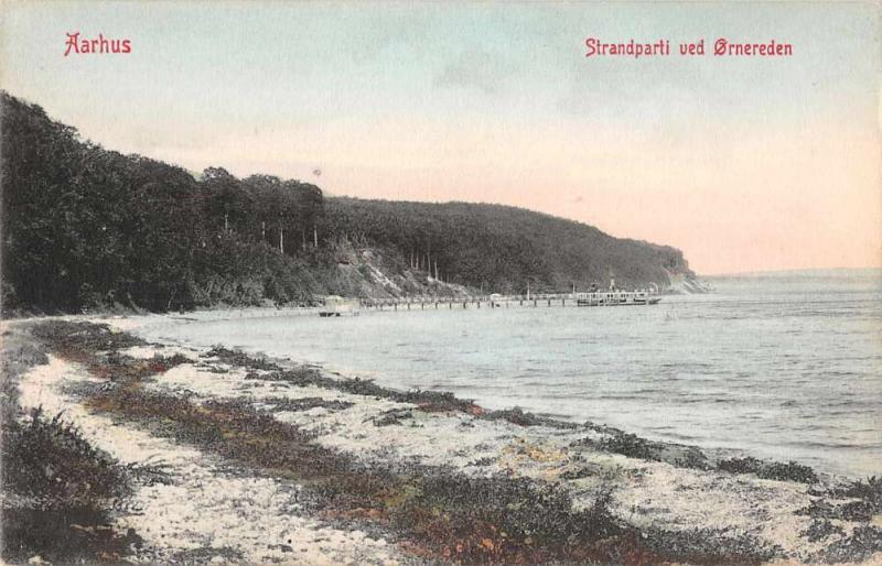 Aarhus Denmark birds eye view beach scene Ornereden antique pc Z17953