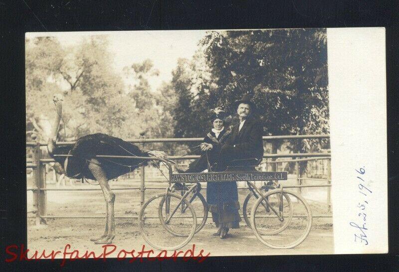 RPPC PASADENA CALIFORNIA OSTRICH FARM DRAWN WAGON OLD REAL PHOTO POSTCARD