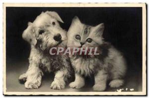 Postcard Old Cat Dog Kitten cats