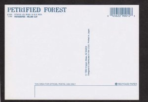 AZ  Petrified Forest National Park Arizona Postcard Logs