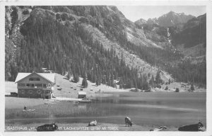 Lot116 hotel vilsalpsee mit lachespitze cow tyrol austria real photo