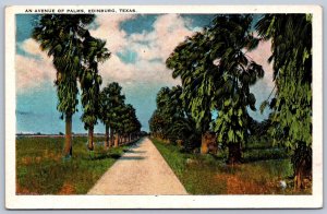 K26/ Edinburg Texas Postcard c1920s Avenue of Palms Road 368