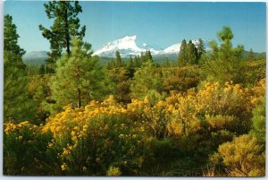 Postcard - Mount Lassen in Lassen Volcanic National Park - California
