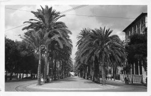 bg18579 Mallorca La Palma de Mallorca Canary Islans   spain