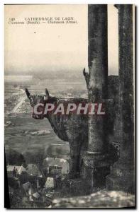 Old Postcard Gargoyle Cathedral of Laon Chimeres