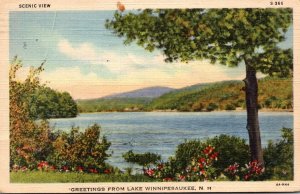 New Hampshire Greetings From Lake Winnipesaukee 1951 Curteich