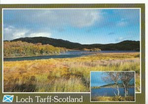 Scotland Postcard - Loch Tarff - Ref ZZ5587