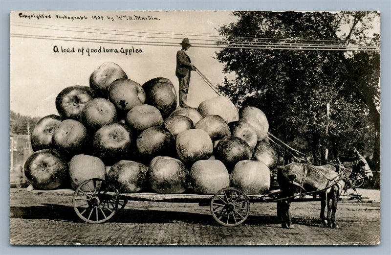 EXAGGERATED IOWA APPLES ANTIQUE REAL PHOTO POSTCARD RPPC