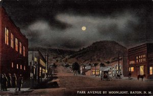 Raton New Mexico Park Avenue by Moonlight Vintage Postcard AA53485