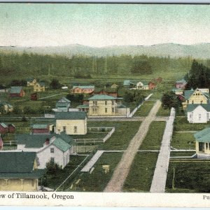 RARE c1900s Tillamook, OR Birdseye Town View Houses Postcard JS Lamar A158