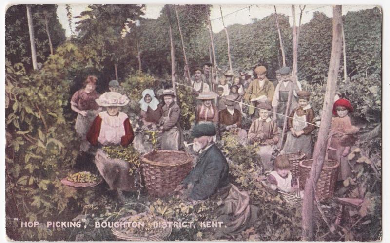 Social History; Hop Picking, Boughton District, Kent PPC, Unused, By File & Sons