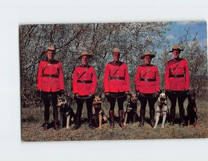 Postcard Royal Canadian Mounties in Action, Crystal Beach, Canada