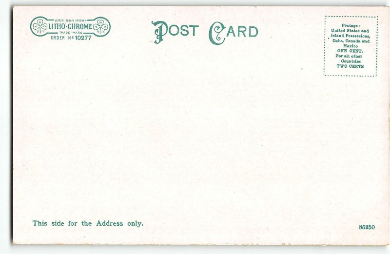 Winter Scene, Ice 20 Feet Thick, Niagara Falls - Pristine c1905 UDB Postcard