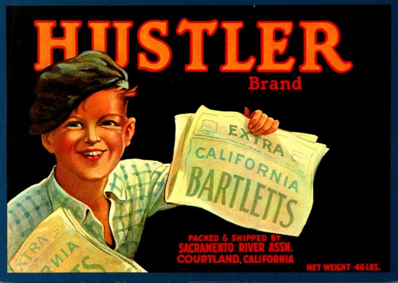 Old Citrus Label On Postcard Hustler Brand Sacramento River Association