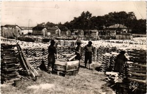 CPA Bassin d'ARCACHON - Travaux Ostreicoles - Le Chaulage des (655477)