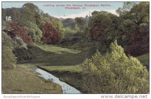 Illinois Waukegan Looking Across The Famous Waukegan Ravine 1910