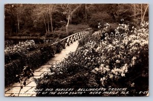 J89/ Mobile Alabama RPPC Postcard c1940s Bellingrath Gardens Flowers 194