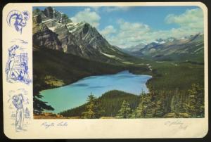 Peyto Lake AB Alberta Banff National Park WJL Bill Gibbons Vintage Postcard D9