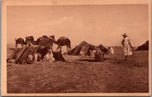 Algeria Bou-Saada Campement dans le Desert Vintage Postcard C166