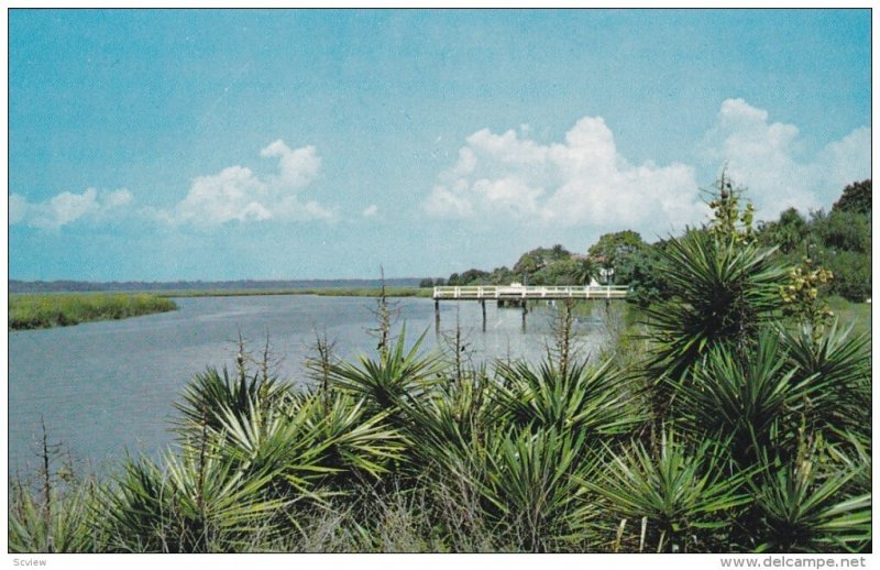 Picturesque View of Black Banks River, Sea Island, Georgia, 1940-60s