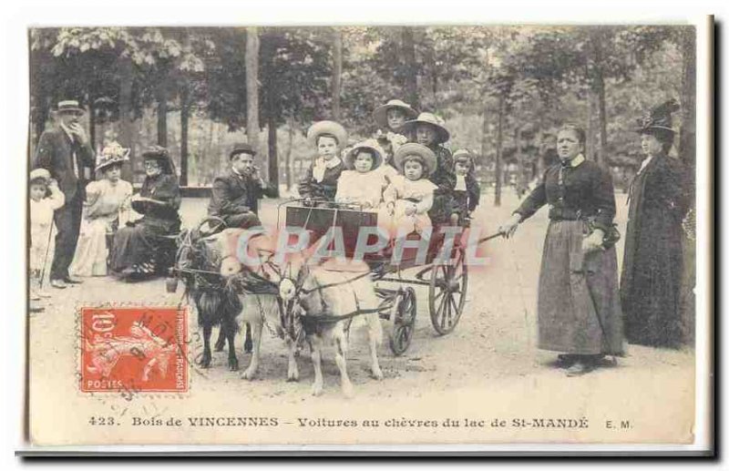 Bois de Vincennes Postcard Old Cars goats in Lake St Mande (goat goat)