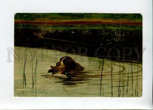 3157026 Duck HUNT Setter Pointer by MAILICK Vintage color PC