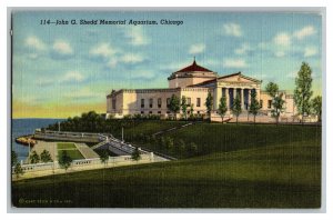 John G. Shedd Memorial Aquarium Chicago Vintage Standard View Postcard 