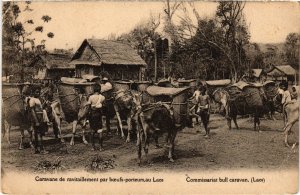 PC COMMISSATIAT BULL CARAVAN ETHNIC TYPES LAOS INDOCHINA (a37837)