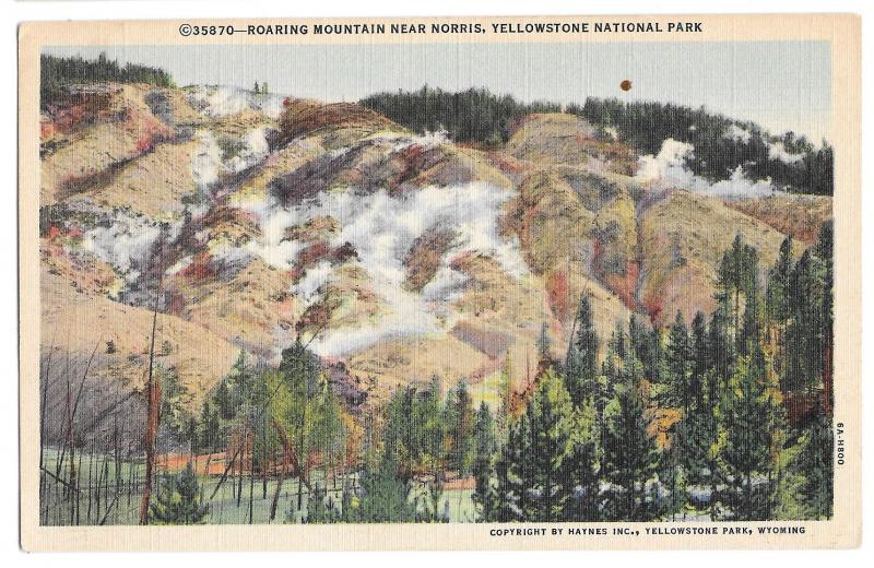 WY Yellowstone Park Roaring Mountain Norris Wyoming Vtg Haynes Linen Postcard