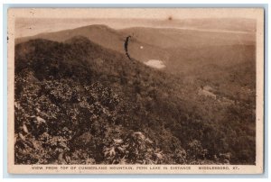 1927 View Top Cumberland Mountain Fern Lake Trees Middlesboro Kentucky Postcard