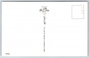 Banner Howdy From Tempe Arizona~Flowering Cactus & Desert View~Vintage Postcard