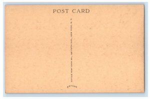 c1940's Bird's Eye View Village Of Maplecrest New York NY Vintage Postcard 