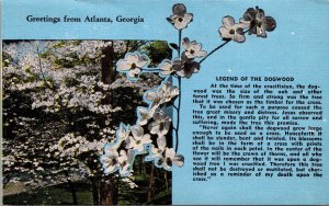 Vtg Greetings from Atlanta Georgia GA Legends of the Dogwood 1950s Postcard